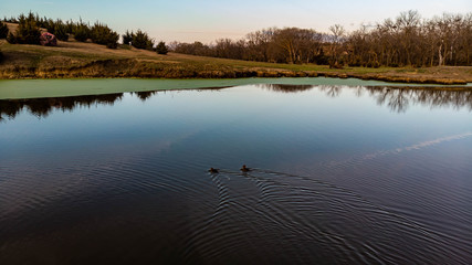 Sunset over rural countryside pond reflecting trees and clouds as ducks and geese swim