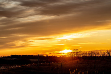 Golden sunrise over a rural countryside with trees in silhouette