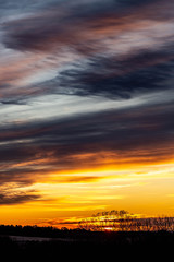 Golden sunrise over a rural countryside with trees in silhouette