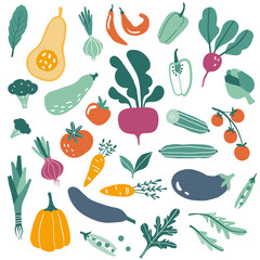 Big set with hand drawn colorful doodle vegetables and greens - 309584333
