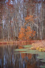 Last of fall foliage reflected in the water