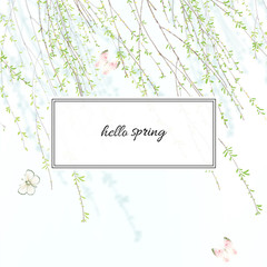 Beautiful spring willow branch. Spring willow branch with buds and catkins.Wedding ornament concept. Floral poster, invite. Decorative greeting card or invitation design background