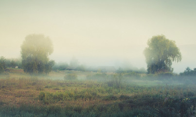 rural landscape with fog in the style of paintings by Ivan Shishkin