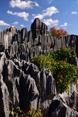 Shilin Stone Forest in Yunnan, China