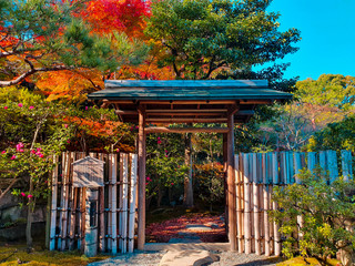 gazebo in the park
