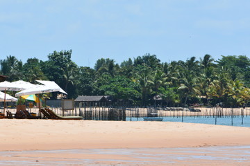 barra grande