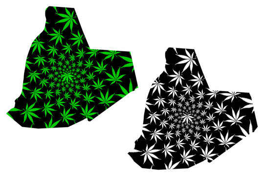 Ouargla Province (Provinces of Algeria, Peoples Democratic Republic of Algeria) map is designed cannabis leaf green and black, Warqla map made of marijuana (marihuana,THC) foliage..