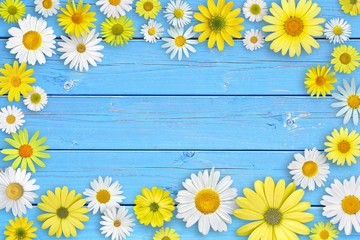 White and yellow daisy flowers on blue wooden table background. Beautiful spring composition, template for design, with copy space for text.
