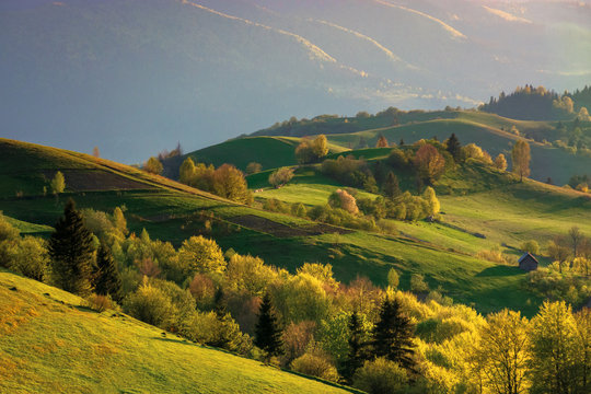 mountainous countryside at sunset. landscape with grassy rural fields and trees on hills rolling in to the distance in evening light. distant ridge and valley in haze. fantastic scenery in springtime