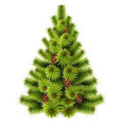 Vector realistic christmas tree for xmas decor