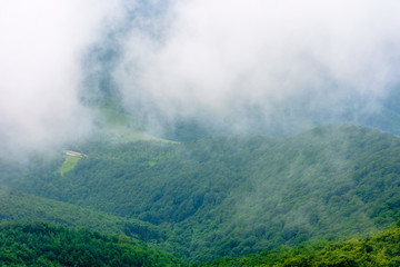 clouds rise above the forested forest. high volume humidity weather. foggy atmosphere. mysterious nature background in the morning