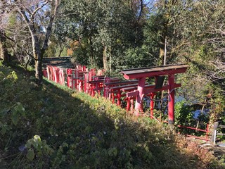 Series of Red Torii Gate in Mountain in Japan	