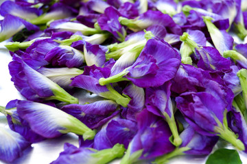 Naklejka premium Butterfly pea flower for background
