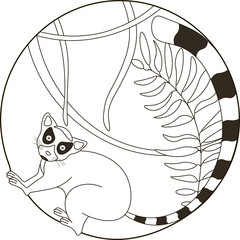 Lemur in jungle illustration. Lemur logo template. Lemur in jungle black isolated on white background.  Lemur with jungle leaves and lians in circle. © Oleh