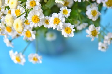 beautiful bouquet of camomile flowers on blurred blue background. Bunch of wildflowers on turquoise backdrop. Romantic meadow flower. Spring time concept. White camomiles flower with selective focus 