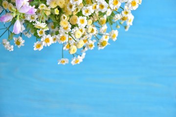 beautiful bouquet of camomile flowers on blurred blue background. Bunch of wildflowers on turquoise backdrop. Romantic meadow flower. Spring time concept. White camomiles flower with selective focus 