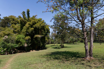 Ogrody  w meksykańskim muzeum © Miroslaw