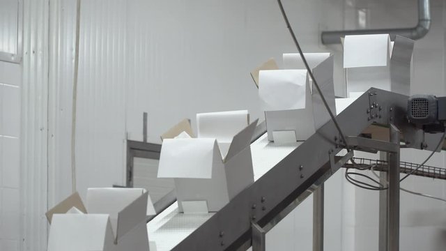 Empty white boxes go on conveyor belt