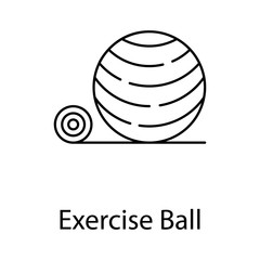  Exercise Ball 