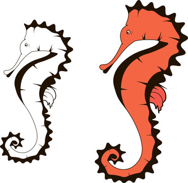 Seahorse graphic icon. Sea horse color sign (and black&white) isolated on white background. Sea-horse illustration.