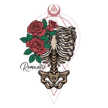 "Romans" - skeleton torso template. Stylish, hand drawn vector illustration in engraving technique of ribcage, spine and hipbones with sacred geometry and roses. Isolated on white.