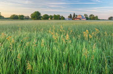 Summer landscape of grassy meadow and farmstead, Michigan, USA