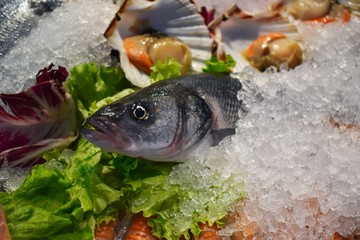 fresh fish on ice