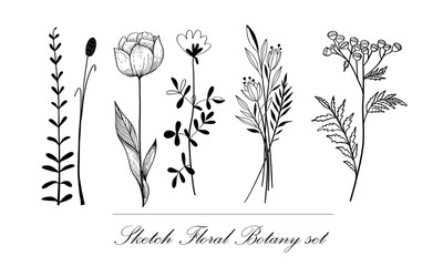 Mushrooms set hand drawn vector illustration. Sketch mushroom drawing isolated on white background. Organic vegetarian product. Great for menu, label, product packaging, recipe