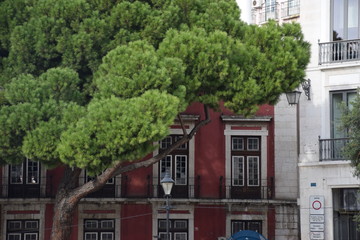 Obraz premium Lisbonne