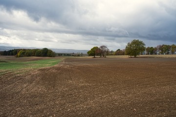 abgeerntete Felder im Herbst