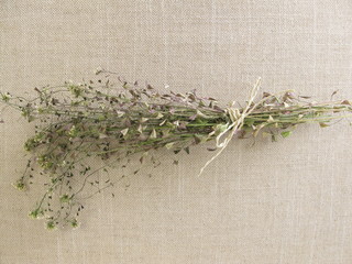 Dried shepherds purse wild herbs