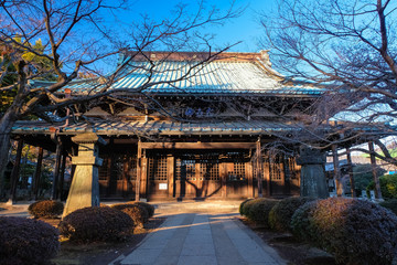 世田谷 豪徳寺 仏殿