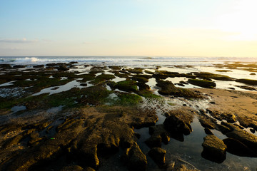 Tanah Lot Beach Bali Indonesia