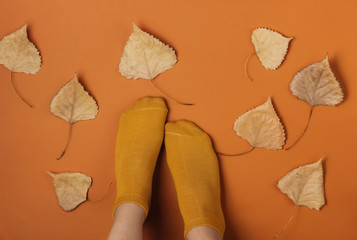 Female slim legs in orange socks on brown background with dry fallen leaves. Creative fashion concept, minimalism. Autumn time. Top view