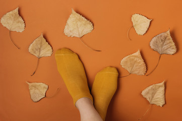 Female slim legs in orange socks on brown background with dry fallen leaves. Creative fashion concept, minimalism. Autumn time. Top view