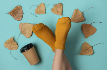 Female slim legs in orange socks on blue background with dry fallen leaves and coffee cup. Creative fashion concept, minimalism. Autumn time. Top view