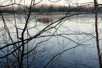 View of frozen lake and many tree branches in the foreground. landscape with a lake covered with ice and trees in the foreground