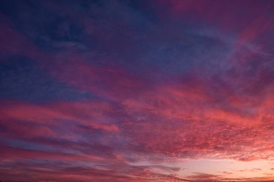Blue violet red sunset sky background with evening fluffy curly rolling cirrostratus clouds. Good windy weather