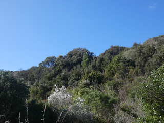 Paesaggio