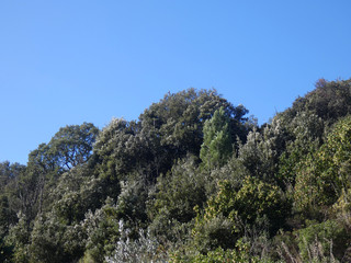 Paesaggio