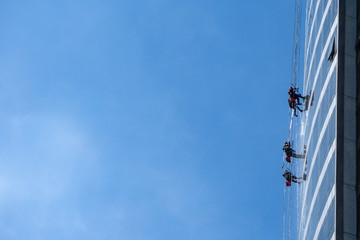 industrial alpinists washing windows on skyscraper