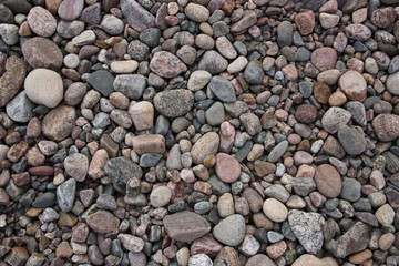 Background, texture with colorful pebbles in summer on the shore.