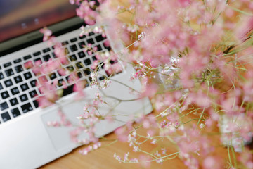 Flowers and laptop. Workplace with atmosphere. 