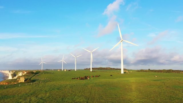 Cinq &eacute;oliennes dans un champ normand au bord de la mer	