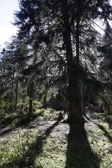 Beautiful Slovak nature, lake and mountains. 