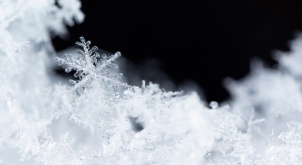 natural snowflakes on snow, winter