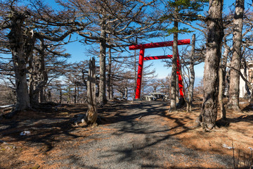 Fototapeta na wymiar Rotes Tor an der fünften Station zum Gipfel des Fuji-san