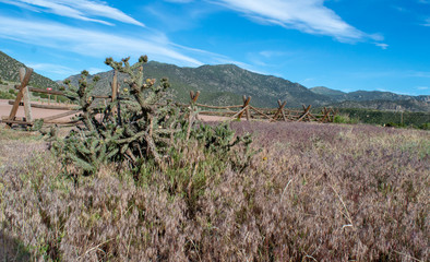 A beautiful view of a scenic landscape in Coloraod with blue skies, moutains, wooden fence and cacti. Bokeh effect.