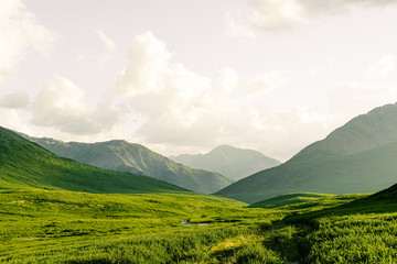 Fototapeta premium Soft hills with green grass under cloudy sky