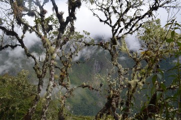 ワイナピチュ、登山、風景